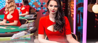 n19 com bet